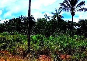 Lote de Terras Suburbanas em Fonte Boa - 100.000m²