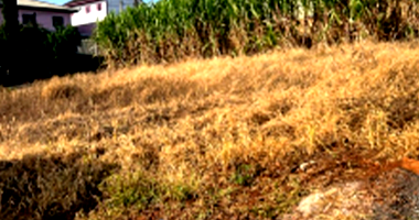 Terreno em Xanxerê - SC com 420m²