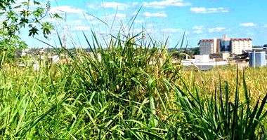Terreno Vago de 34.358,27 m² em Foz do Iguaçu