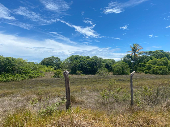 Terreno em Itaporanga D'ajuda SE com 300m²