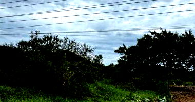 Direitos Possessórios de Terreno amplo em Canasvieiras, sem benfeitorias