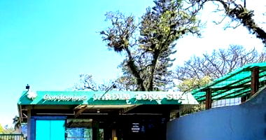 Apartamento com 66m² em Porto Alegre - Oportunidade Única