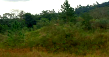 Terreno Rural com 30.000m² em Timbé do Sul/SC