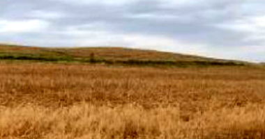 Parte Ideal de Imóvel Rural com 10 Alqueires em Marialva/PR