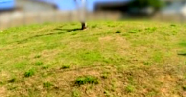Espaçoso Lote Desocupado com 4008.91 m² de Terreno