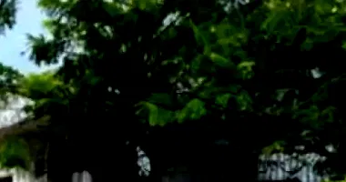 Prédio Comercial com 5.500.000,00 de Avaliação