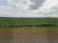 Imóvel Rural com 224.865m² em Palmeiras de Goiás/GO - Oportunidade de Investimento