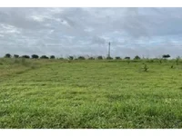 Terreno amplo em Campestre, Trairi/CE - Oportunidade!