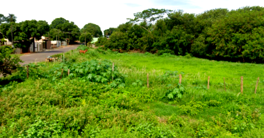 Terreno com 5.310m² em Adamantina/SP