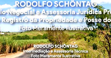 Sítio Rural com 3,24 hectares em Aliança - PE