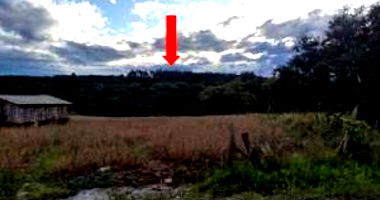 Terreno Rural com Reflorestamento em Rio Negrinho/SC