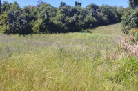 Terreno rural de 3,1250 hectares, sem benfeitorias, em Entre-Ijuís/RS