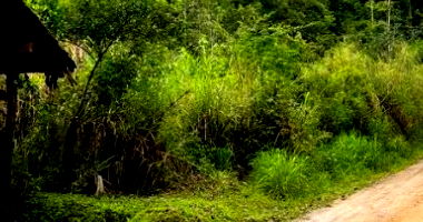 Terreno amplo em Blumenau com 10.000 m² e fácil acesso