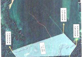 IMÓVEL RURAL COM AREA TOTAL DE 90.000m²