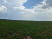 Fazenda com 200 hectares em Sorriso/MT