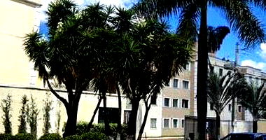 Apartamento 2 quartos, 1 banheiro, 1 vaga, 45,27m² privativos