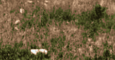 Terreno 140m² desocupado com potencial residencial/comercial