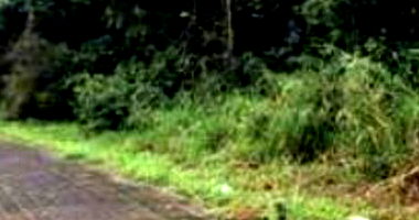 Terreno Urbano com Área de 1.702,590 m² em Indaial-SC