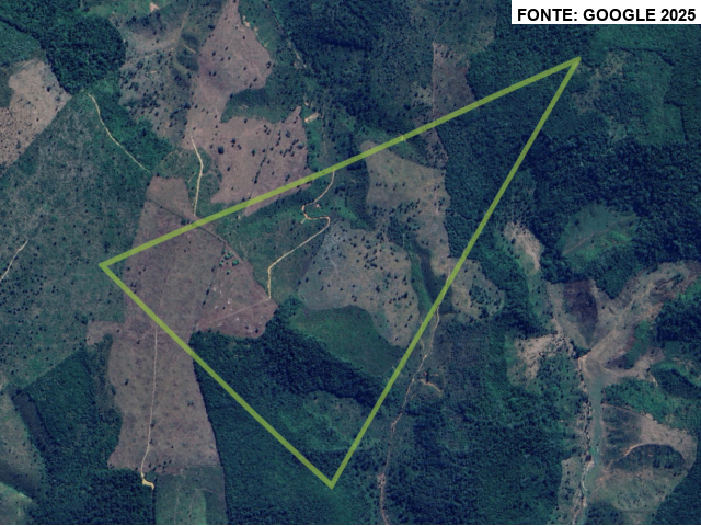 Sítio Rural com 75 Hectares em Santa Luzia/MA