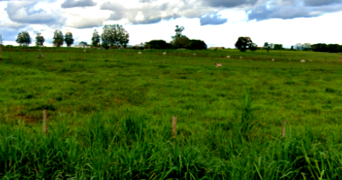 Fazenda com 381,35 hectares em Paranatinga/MT