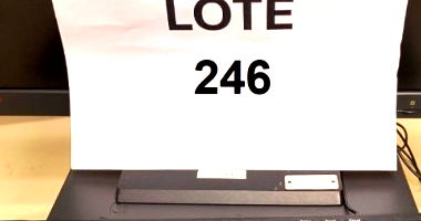 Lote 246: 16 Microcomputadores e 16 Monitores LCD