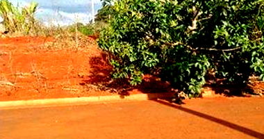 Venda Conjunta de Terrenos em Marilândia do Sul/PR