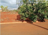 Venda Conjunta de Terrenos em Marilândia do Sul/PR