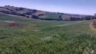 Lote Rural 72.600m² em Gleba Alvorada, Nova Tebas/PR