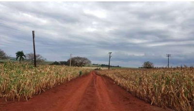 Parte Ideal de Imóvel Rural em Chavantes - 76.518 m²