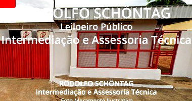 Galpão Urbano com 15000 m² em Juazeiro do Norte - Espaço amplo