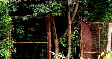 Terreno desocupado 640 m² com matrícula e ações judiciais