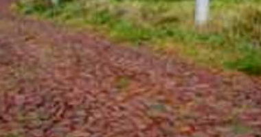 Imóvel Urbano com Área Total de 421.13m² em Seberi/RS