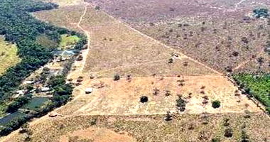 Imóvel Rural com 54 HA para Pecuária em Poxoréu/MT