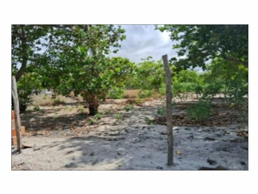 Terreno amplo em leilão com 16.432m² em Pacajus/CE