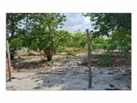 Terreno amplo em leilão com 16.432m² em Pacajus/CE