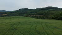 Fração Ideal de Imóvel Rural com Área de Plantio