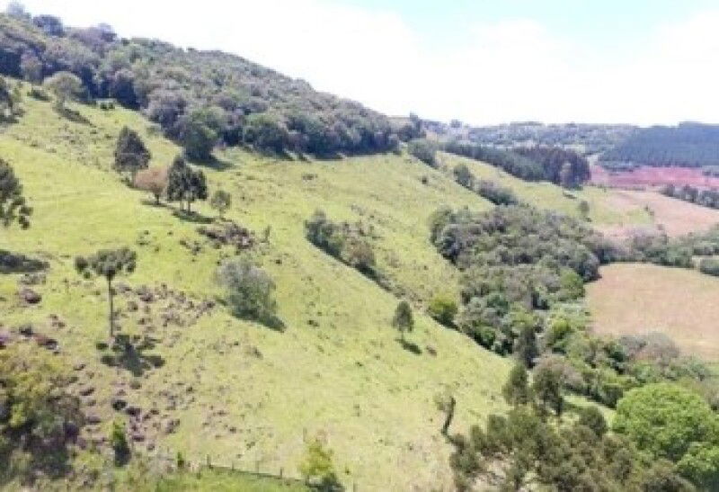 12,5% de Imóvel Rural em Passos/MG - Oportunidade Única!