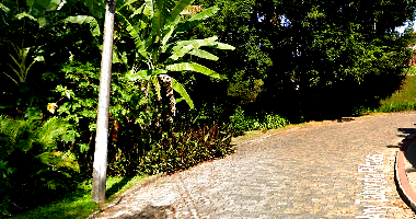 Terreno com 755,25 m² em Itoupava Norte