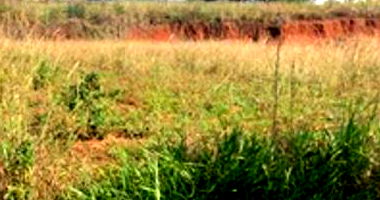 Terreno Urbano de 250m² em Terra Roxa/PR