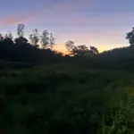 Fração de terras com 4 hectares e 75 áreas, sem benfeitorias
