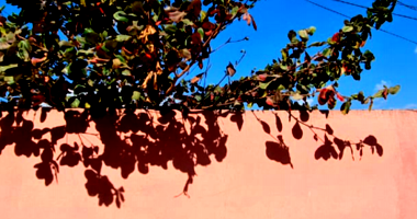 Casa com 2 Quartos em Campos Belos - GO