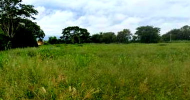 Gleba de Terras com 20.000m² em Rubiacea/SP