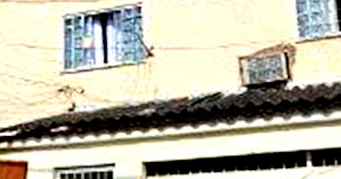 Apartamento Ocupado com 3 Quartos e 1 Vaga em Cordovil, Rio de Janeiro