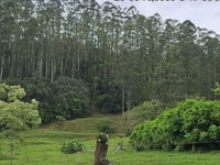 Área Rural de 51.000 m² em Witmarsum-SC