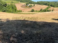 Área Rural de 2 ha em Horizontina - RS