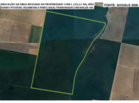 Fazenda 1.216ha com 50% de participação - Ribeirão Cascalheira/MT