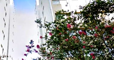 Apartamento com 88 m² em São Paulo - Vila Ipojuca