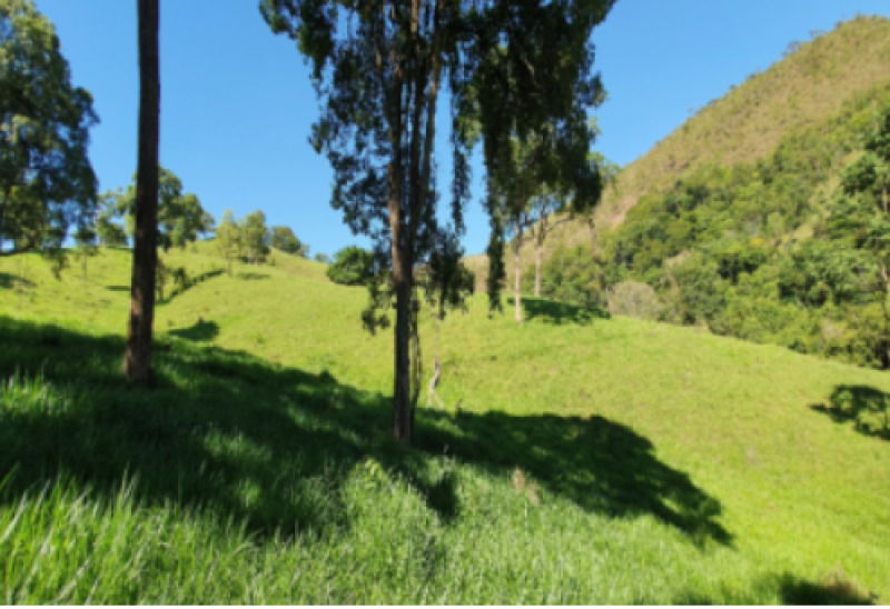 Fazenda Cachoeira com 161,70 hectares em Patrocínio/MG