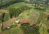 Lote Rural de 35.484,00m² em Mondaí/SC com Usufruto Vitalício