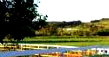 Terreno rural amplo com 250.000m² ideal para agricultura e pecuária